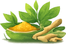 Whole Herbs, Not Isolates