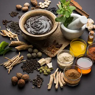 Are new to Ayurveda and want structured guidance